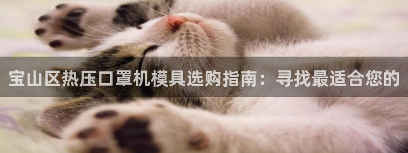 易倍易倍单词官方网站