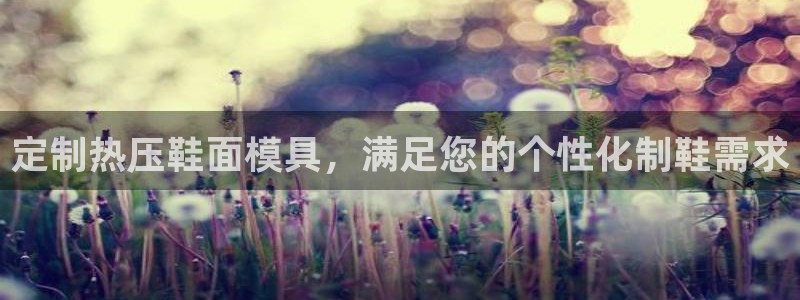 易倍网络技术有限公司官网