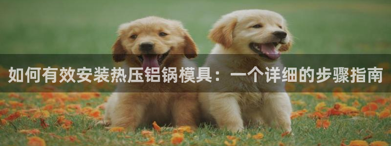 易倍申和易倍清的区别：如何有效安装热压铝锅模具：一个详细