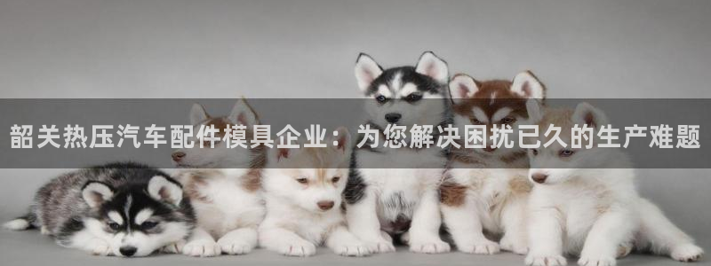 易倍达科技有限公司代运营：韶关热压汽车配件模具企业：为您