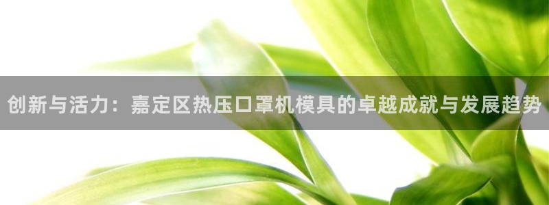 易倍网络技术有限公司怎么样：创新与活力：嘉定区热压口罩机