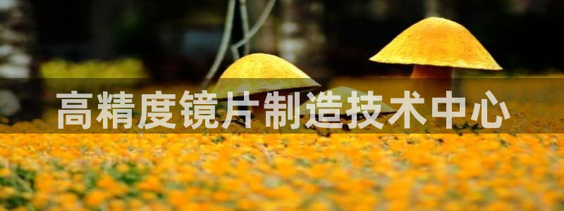 易倍app网站：高精度镜片制造技术中心