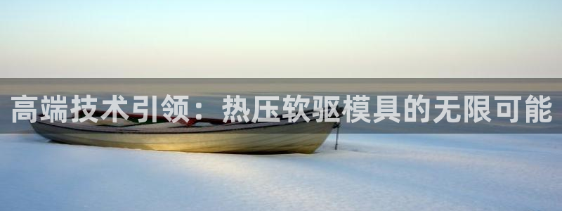易倍网页版登录：高端技术引领：热压软驱模具的无限可能