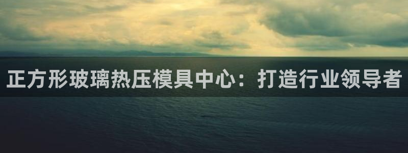 emc app下载：正方形玻璃热压模具中心：打造行业领导