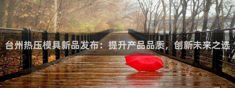 易倍康简历：台州热压模具新品发布：提升产品品质，创新未来