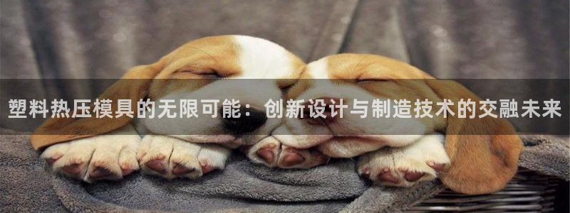 易倍申是进口药吗：塑料热压模具的无限可能：创新设计与制造
