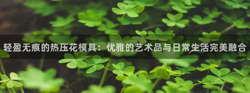上海易倍投资有限公司：轻盈无痕的热压花模具：优雅的艺术品