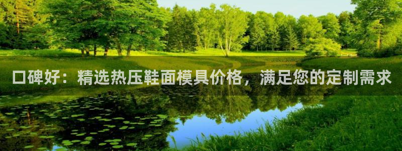 易倍单词平台：口碑好：精选热压鞋面模具价格，满足您的定制