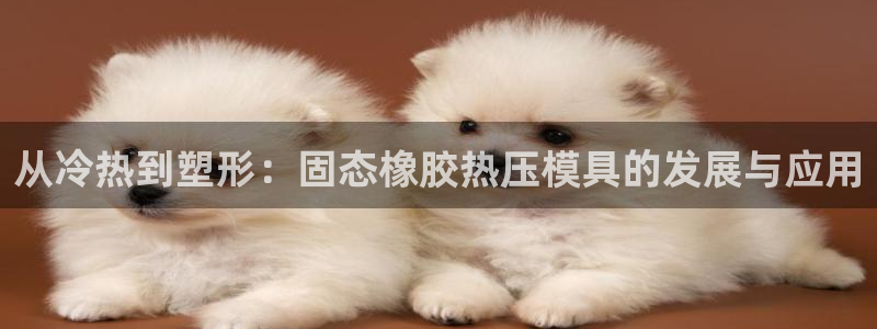 emc易倍最新链接：从冷热到塑形：固态橡胶热压模具的发展