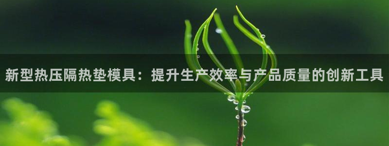 易倍单词官方网站下载：新型热压隔热垫模具：提升生产效率与