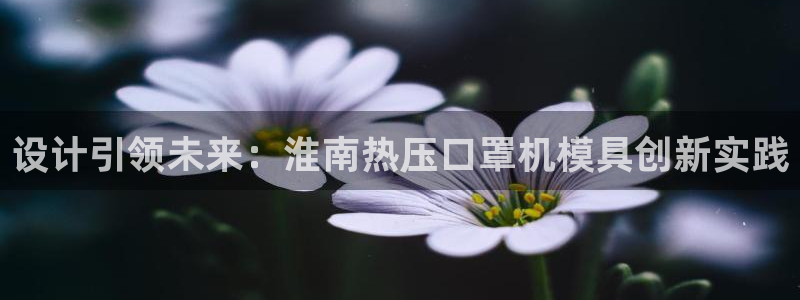 易倍达科技有限公司：设计引领未来：淮南热压口罩机模具创新