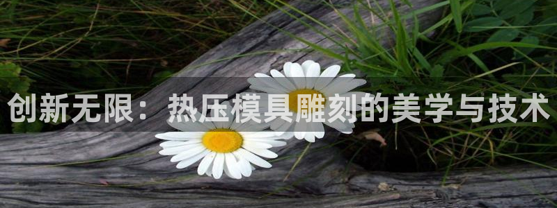 杭州易倍达：创新无限：热压模具雕刻的美学与技术