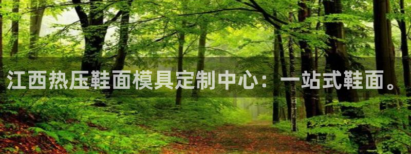 易倍emc网址网页版本登陆：江西热压鞋面模具定制中心：一