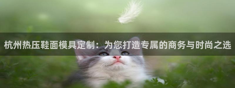易倍申医保报销：杭州热压鞋面模具定制：为您打造专属的商务