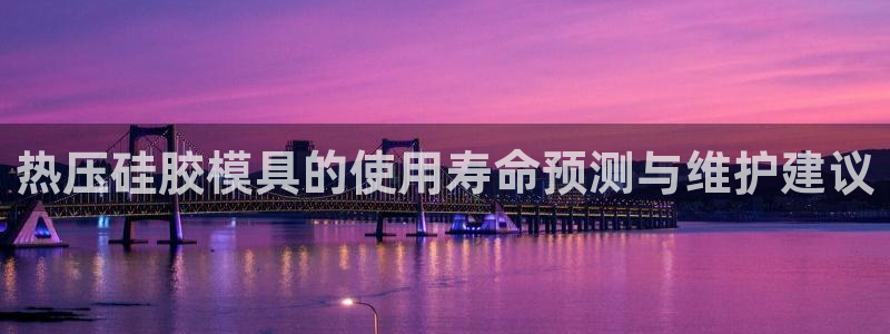 emc易赔：热压硅胶模具的使用寿命预测与维护建议