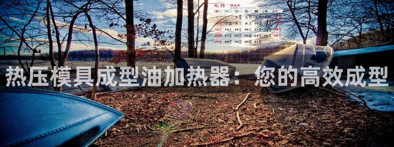 emc下载：热压模具成型油加热器：您的高效成型