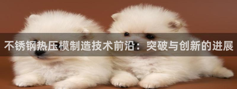 易倍申服用方法：不锈钢热压模制造技术前沿：突破与创新的进