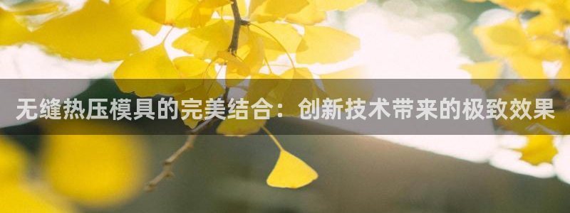 emc平台：无缝热压模具的完美结合：创新技术带来的极致效