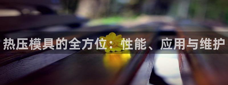 emc易倍全站官网：热压模具的全方位：性能、应用与维护
