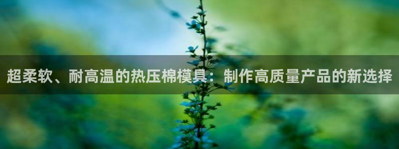 北京易倍思教育怎么样：超柔软、耐高温的热压棉模具：制作高