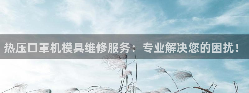 emc易倍官网首页进入：热压口罩机模具维修服务：专业解决
