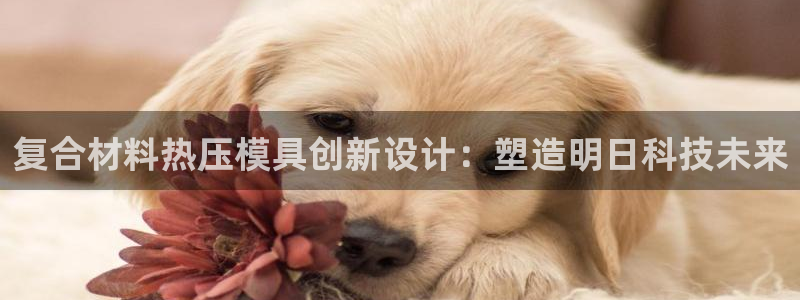 易倍申每盒价格是多少?：复合材料热压模具创新设计：塑造明