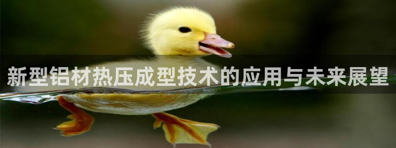易倍app网站