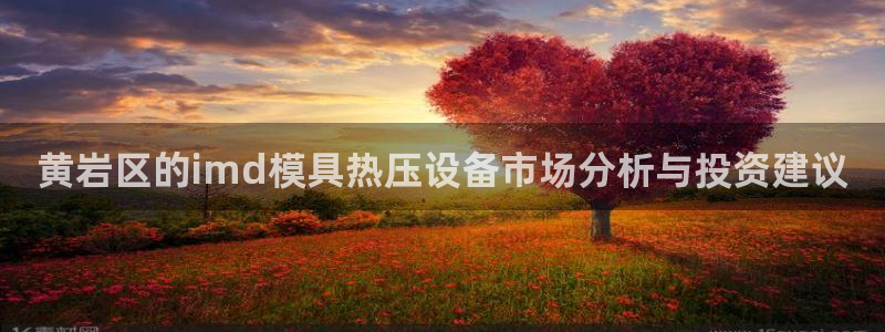 易倍app官网下载安装：黄岩区的imd模具热压设备市场分