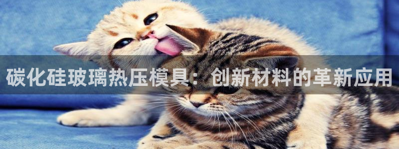 emc倍频只能是奇数倍吗：碳化硅玻璃热压模具：创新材料的