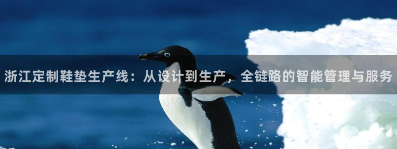 易倍纤减肥反弹不：浙江定制鞋垫生产线：从设计到生产，全链