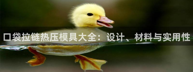 emc32软件使用说明：口袋拉链热压模具大全：设计、材料
