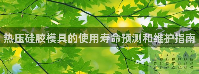 易倍申和易倍清的区别：热压硅胶模具的使用寿命预测和维护指