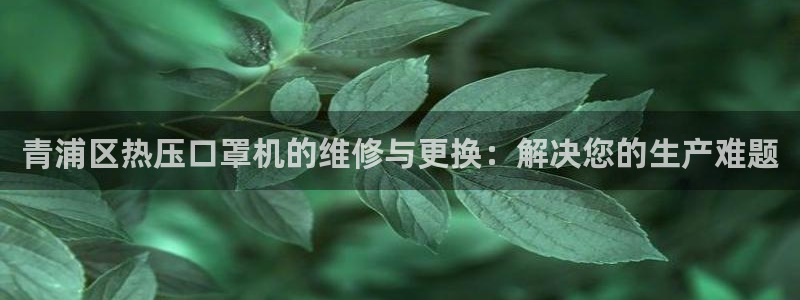 易倍电竞安装教程：青浦区热压口罩机的维修与更换：解决您的