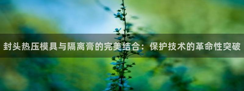 北京易倍思教育怎么样：封头热压模具与隔离膏的完美结合：保