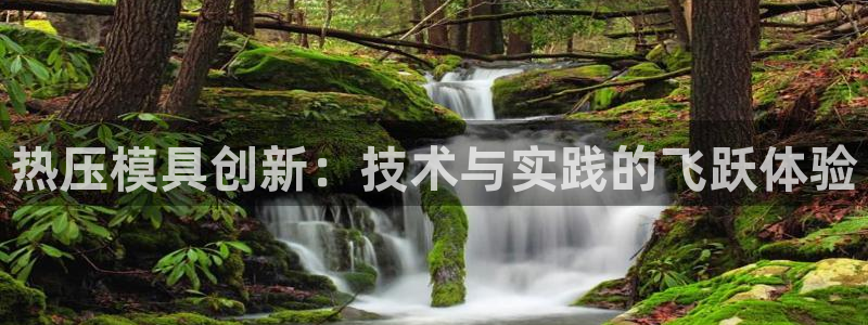 低频的emc用什么滤波：热压模具创新：技术与实践的飞跃体