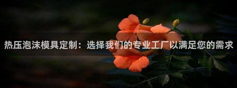 易倍单词软件