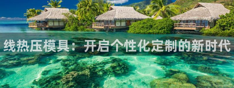 易倍app官网下载：线热压模具：开启个性化定制的新时代