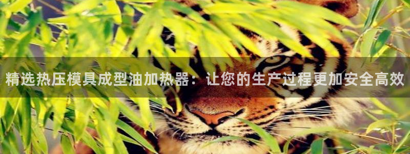 易倍emc全站：精选热压模具成型油加热器：让您的生产过程