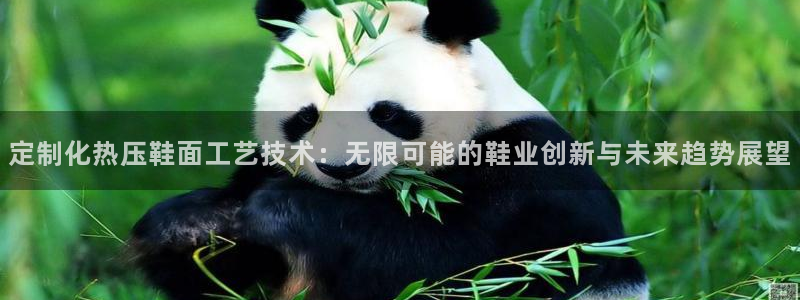 四川易倍易企业管理有限公司：定制化热压鞋面工艺技术：无限