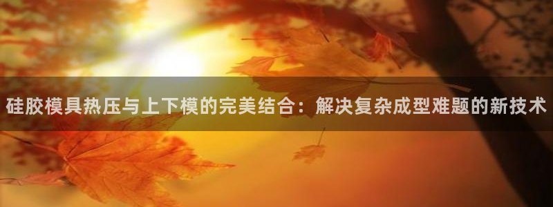 emc调试技巧：硅胶模具热压与上下模的完美结合：解决复杂