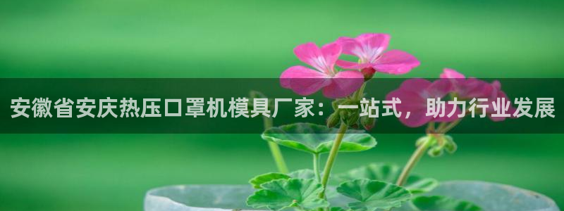 易倍EMC网址：安徽省安庆热压口罩机模具厂家：一站式，助