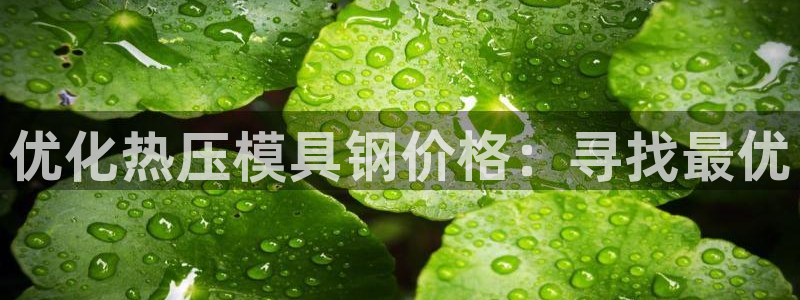 易倍达科技有限公司招聘：优化热压模具钢价格：寻找最优