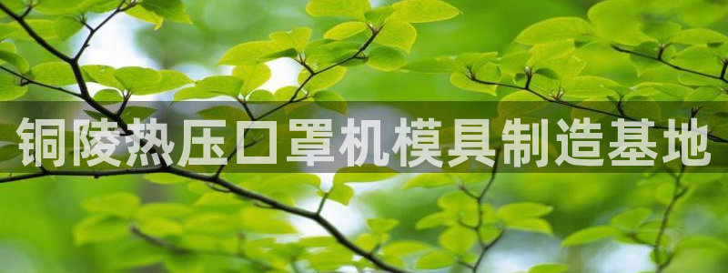 emc易倍官网登录入口：铜陵热压口罩机模具制造基地