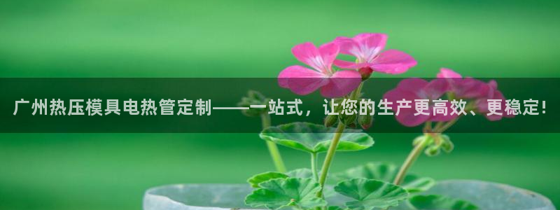 emc易倍ios官网：广州热压模具电热管定制——一站式，