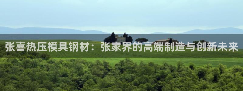 emc易倍老板：张喜热压模具钢材：张家界的高端制造与创新