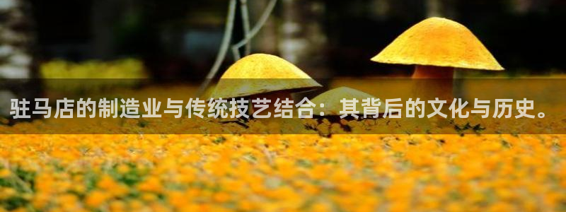 emc易倍网页版