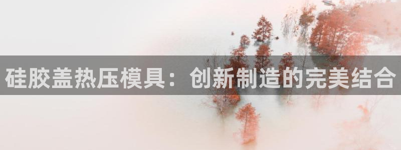 易倍达科技有限公司官网：硅胶盖热压模具：创新制造的完美结