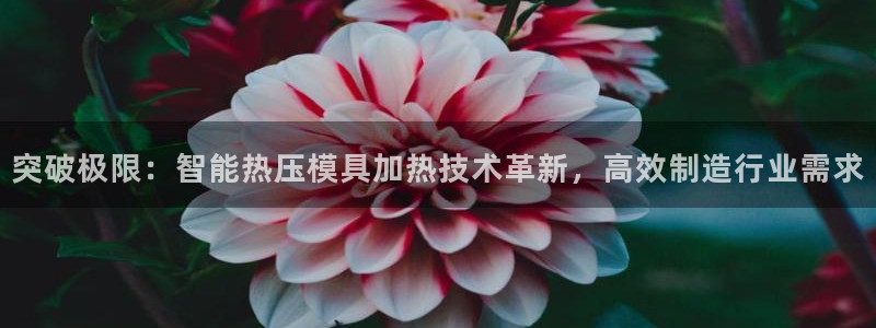 emc32软件安装：突破极限：智能热压模具加热技术革新，