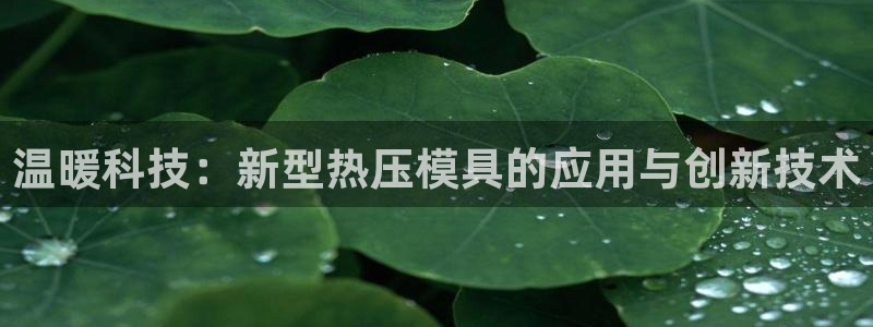 易倍申效果怎么样：温暖科技：新型热压模具的应用与创新技术