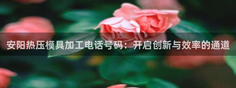 易倍网络技术有限公司招聘：安阳热压模具加工电话号码：开启